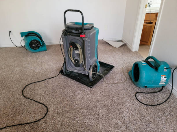 Best Mold removal after water damage  in Fairmount Heights, MD
