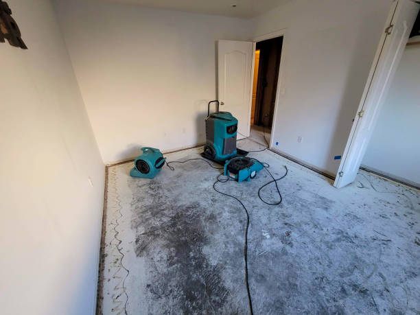 Best Residential water damage restoration  in Fairmount Heights, MD