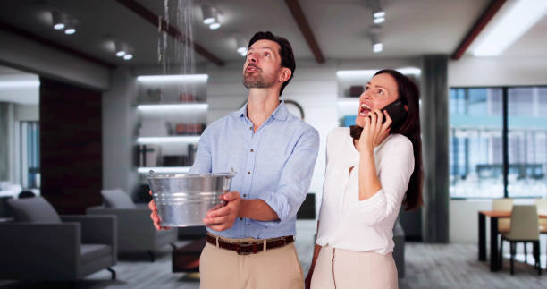Best Flooded house restoration  in Fairmount Heights, MD