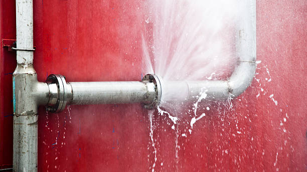 Best Carpet water damage restoration  in Fairmount Heights, MD