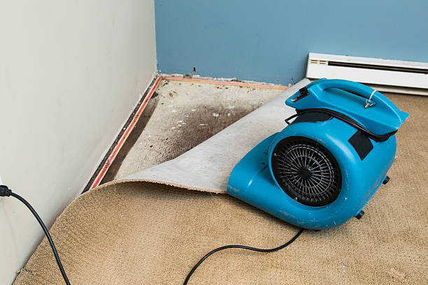 Best Water damage repair service  in Fairmount Heights, MD